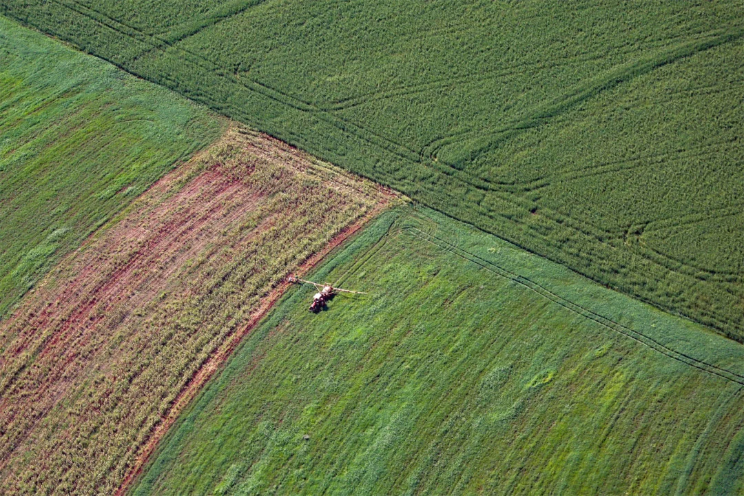 Supermercado do mundo: Paraná expande produção agropecuária entre 2018 e 2025