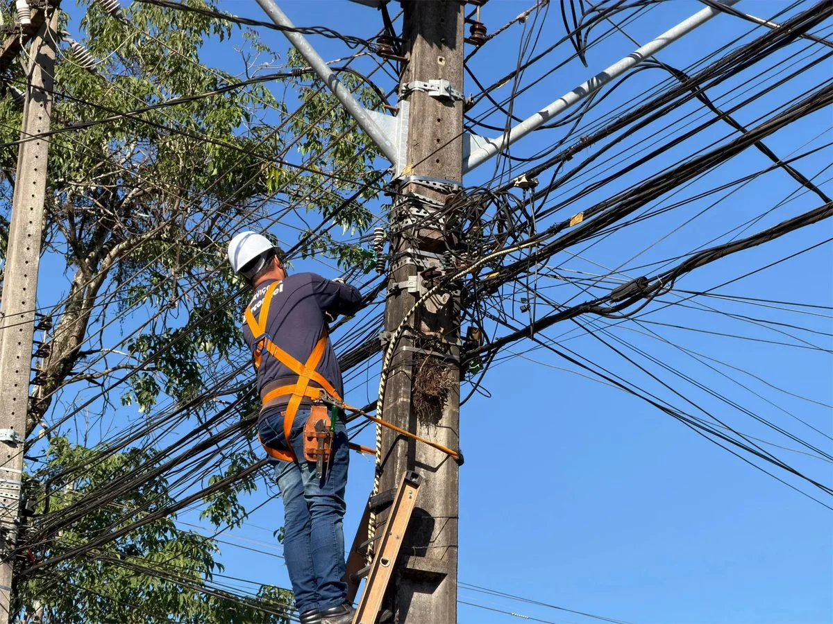Mutirão retira mais de 900 quilos de cabos irregulares de postes em Londrina