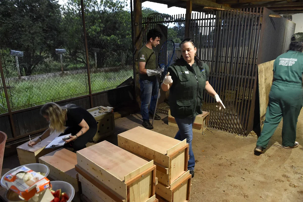 Novo canal do IAT registra mais de 2,8 mil denúncias de crimes ambientais em quatro meses
