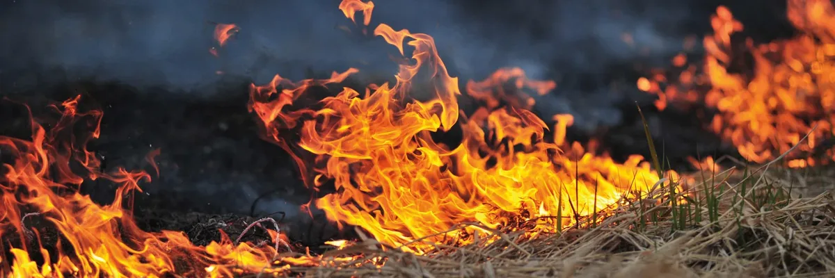 Inverno seco eleva risco de incêndios rurais no Paraná e acende alerta entre produtores