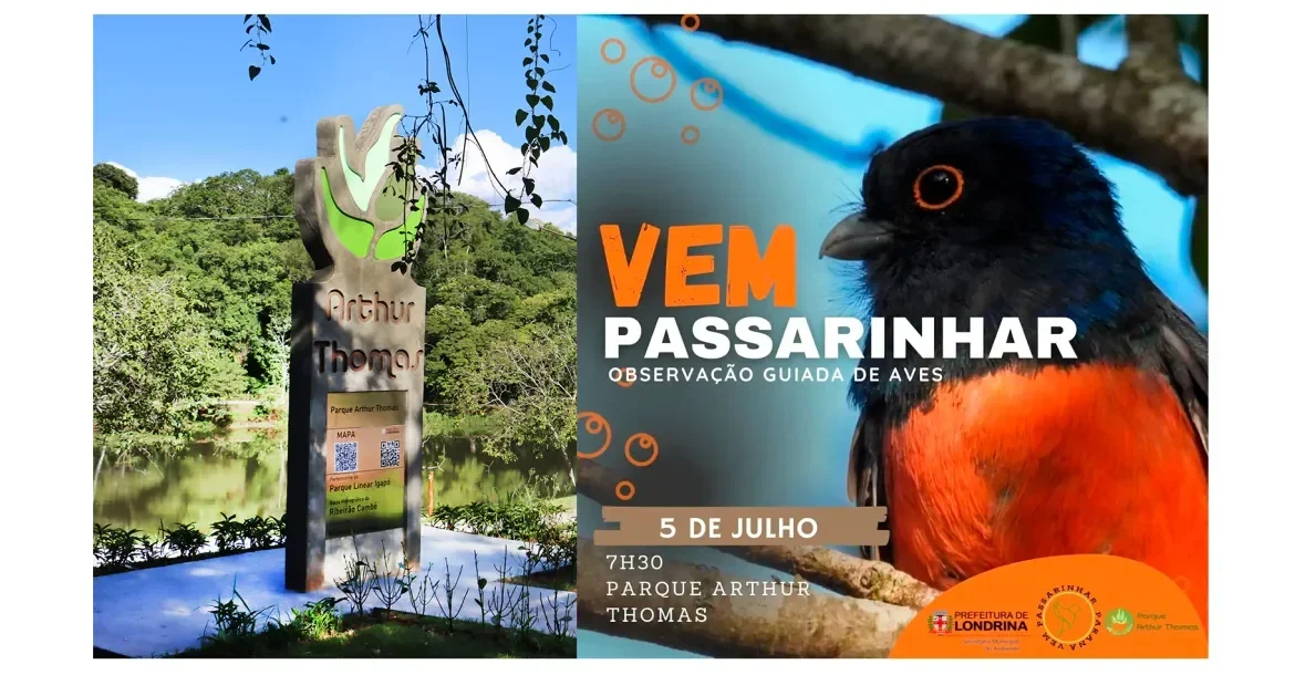 Parque Arthur Thomas terá observação guiada de aves gratuita neste domingo; veja como participar